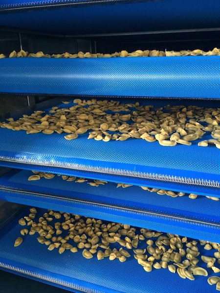 Pré-séchoirs et Refroidisseurs à bandes pour pâtes fraîches et farcies