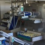 Ligne de pâtes fraîches farcies pasteurisées