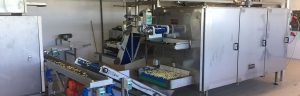 Ligne de pâtes fraîches farcies pasteurisées