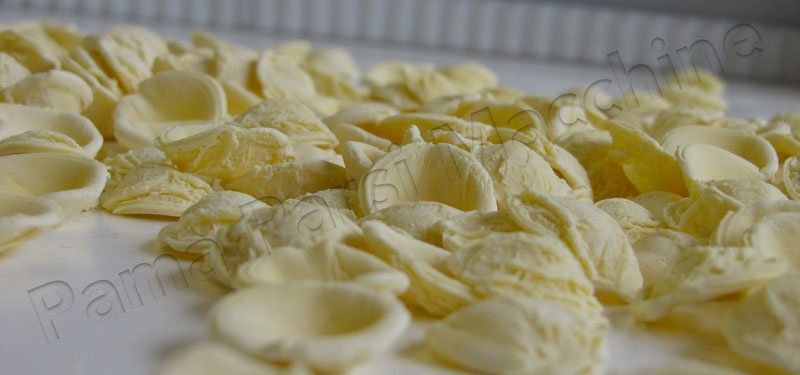 Machine Orecchiette: la n° 1 mondiale Machine Orecchiette: la n° 1 mondiale