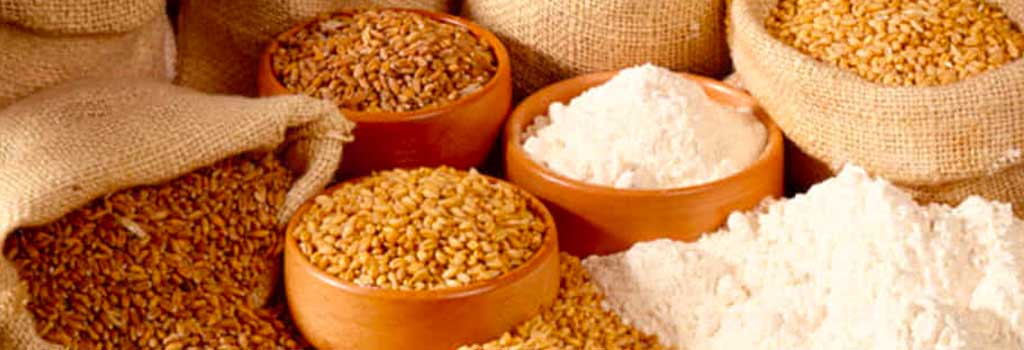 fabrique agricole de pâtes fabrique agricole de pâtes