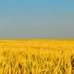 Créer une fabrique agricole de pâtes