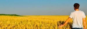 Créer une fabrique agricole de pâtes