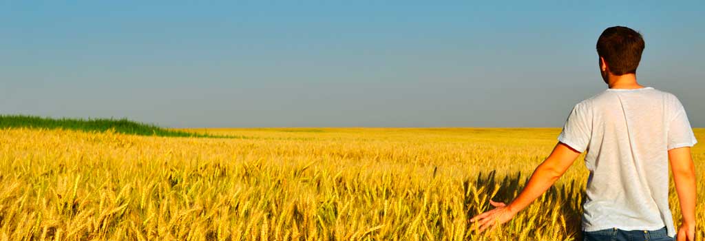 fabrique agricole de pâtes fabrique agricole de pâtes