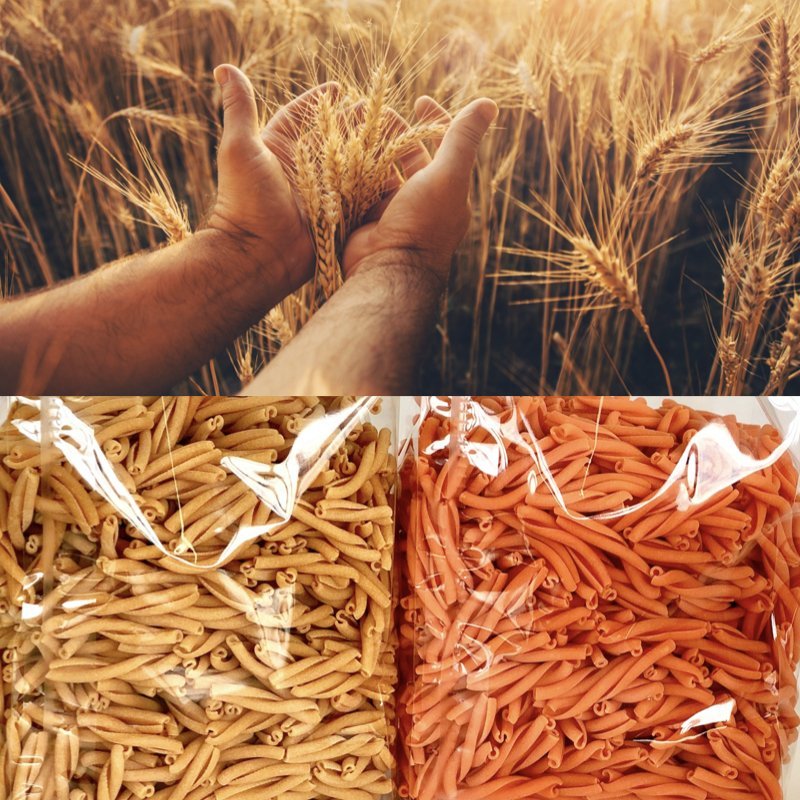 Machines et séchoirs à pâtes